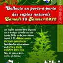 sapin 2022 copie.jpg