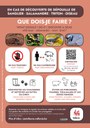 Affiche FR.jpg